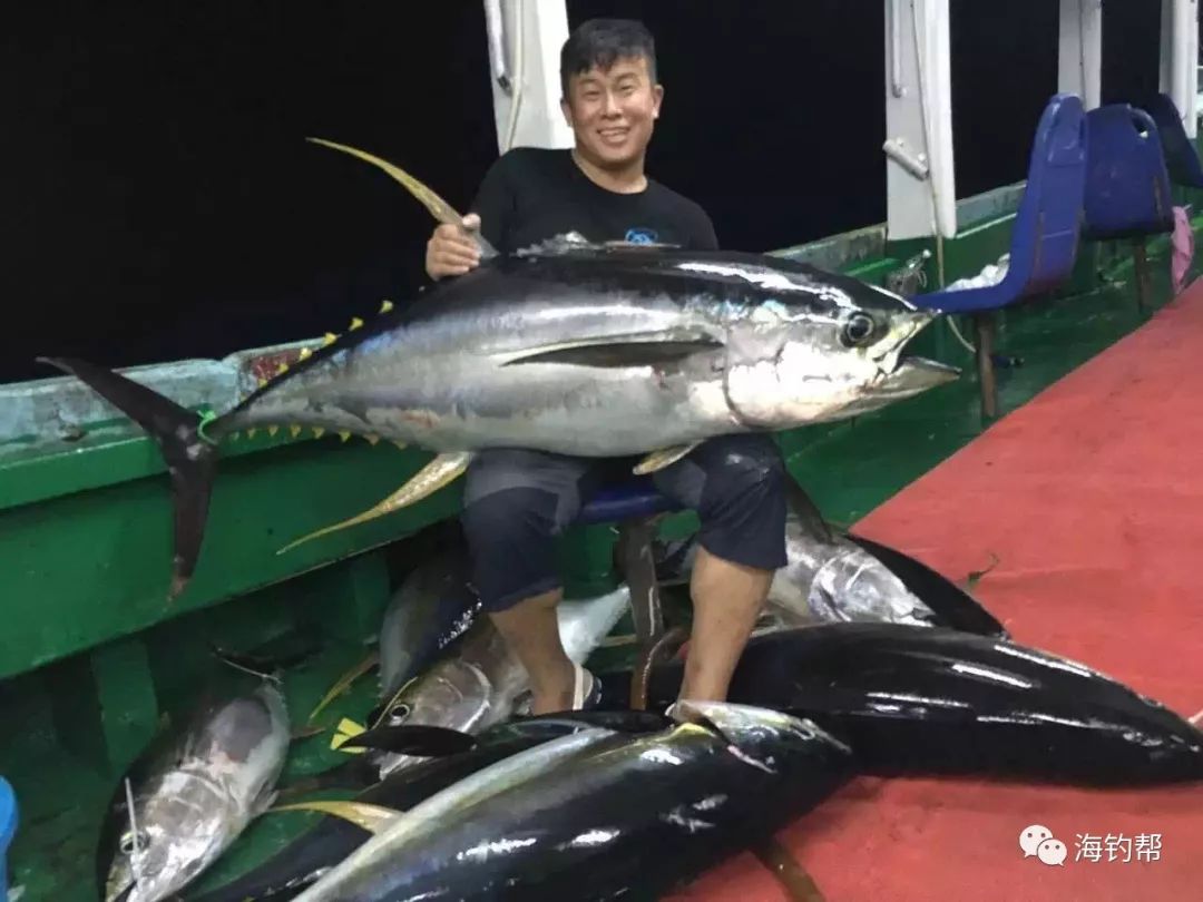 海釣幫·深海金槍魚·極品魚生