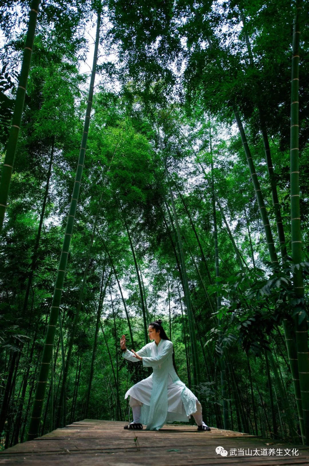 太极美照图片