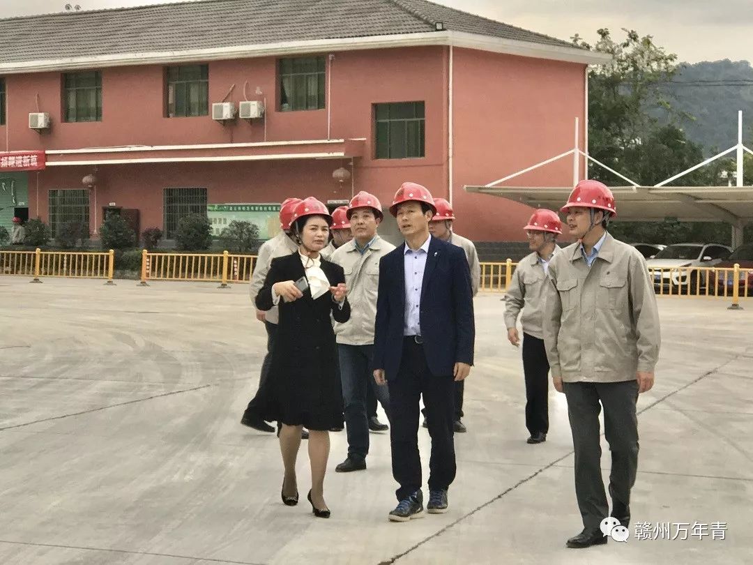 省建材集团公司纪委书记熊小华一行莅临赣州公司及所属各基地调研指导