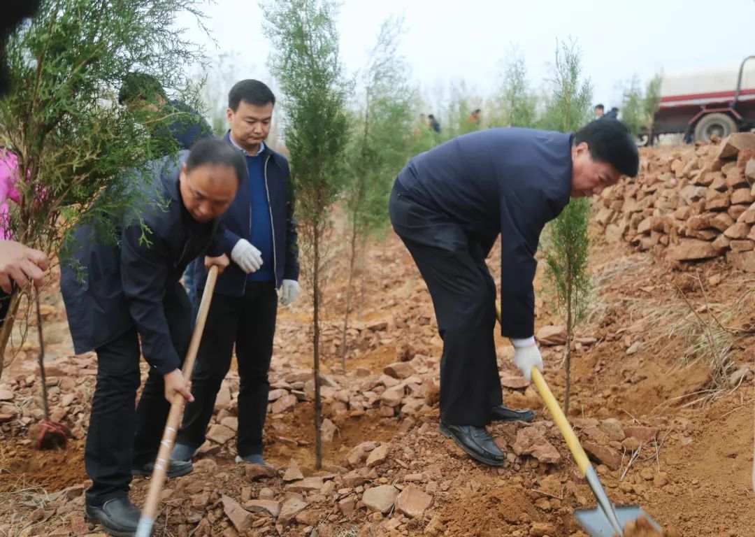 陈朝敏简历图片