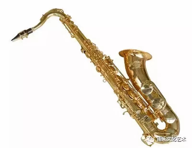 2萨克斯长笛是现代管弦乐和室内乐中主要的高音旋律乐器,属于木管乐