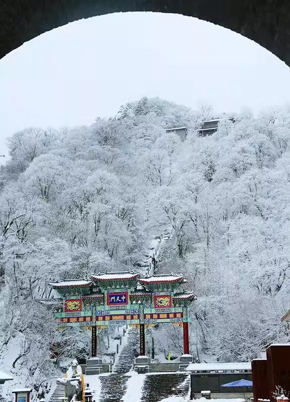 老君山又下雪了!一