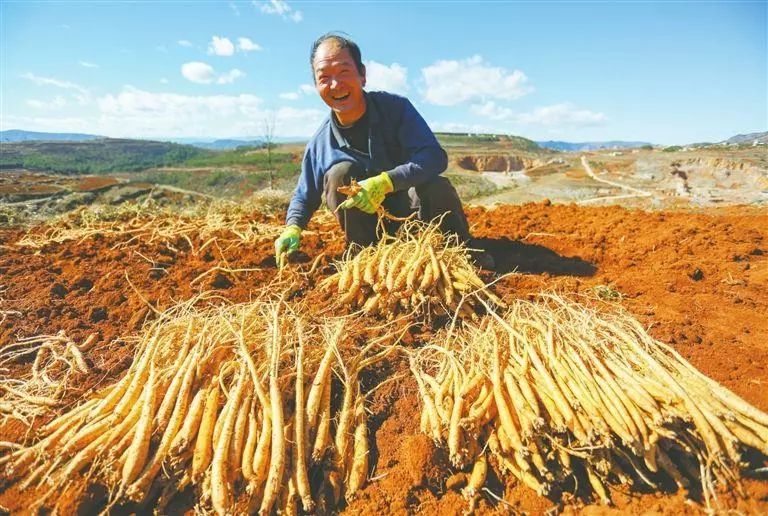 陵川县平城镇下川村图片