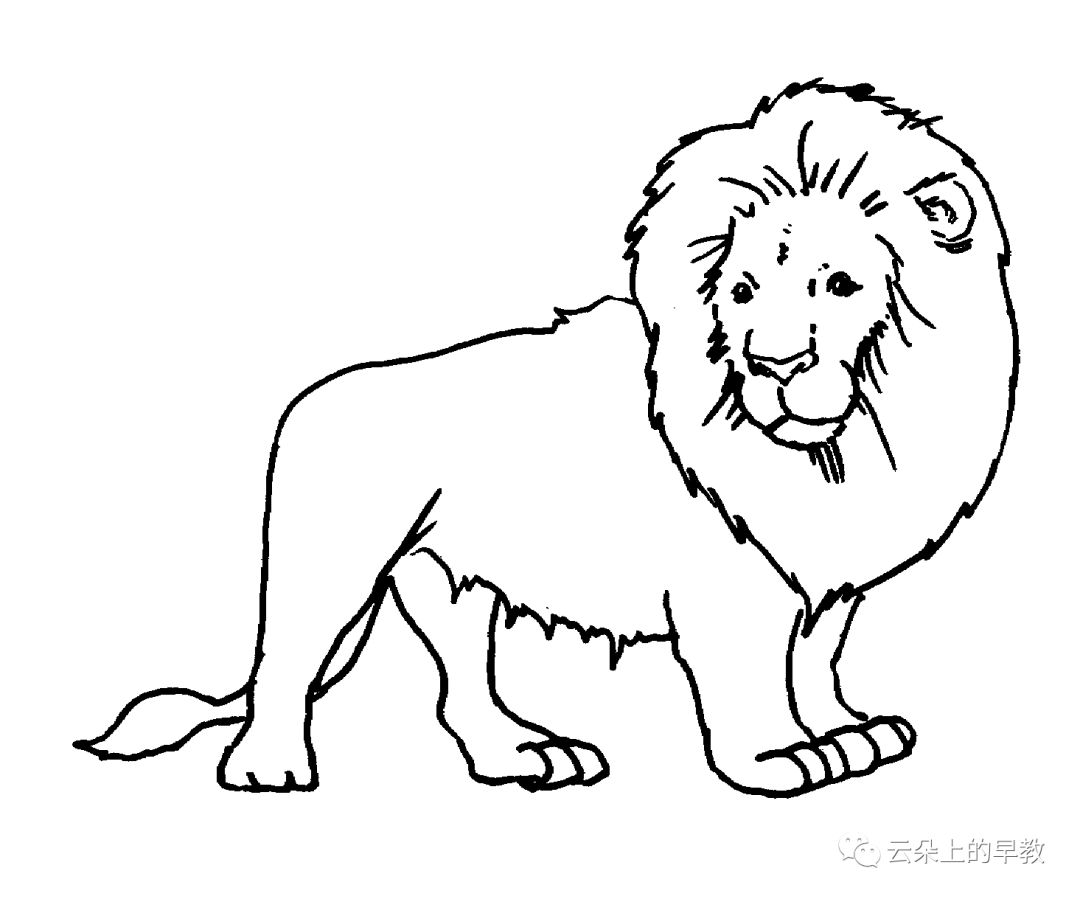 lion简笔画图片