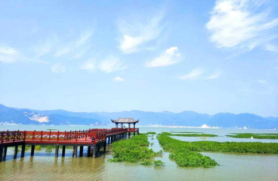 寧德市區邊上最值得pick的景點海洋森林棧道實惠海鮮還有8元的