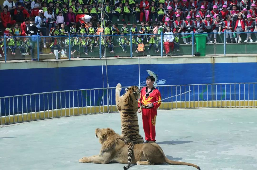 五龍山野生動物園學習與教育的戶外課堂