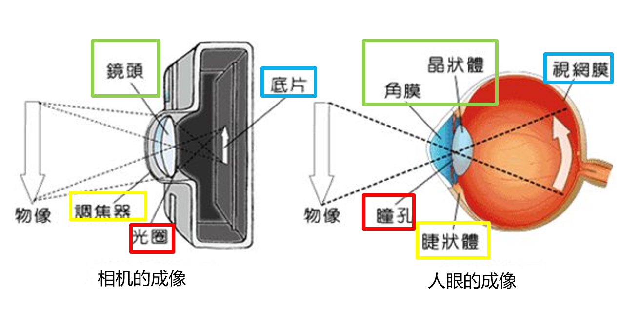 从光学角度来看,人眼与相机非常相似