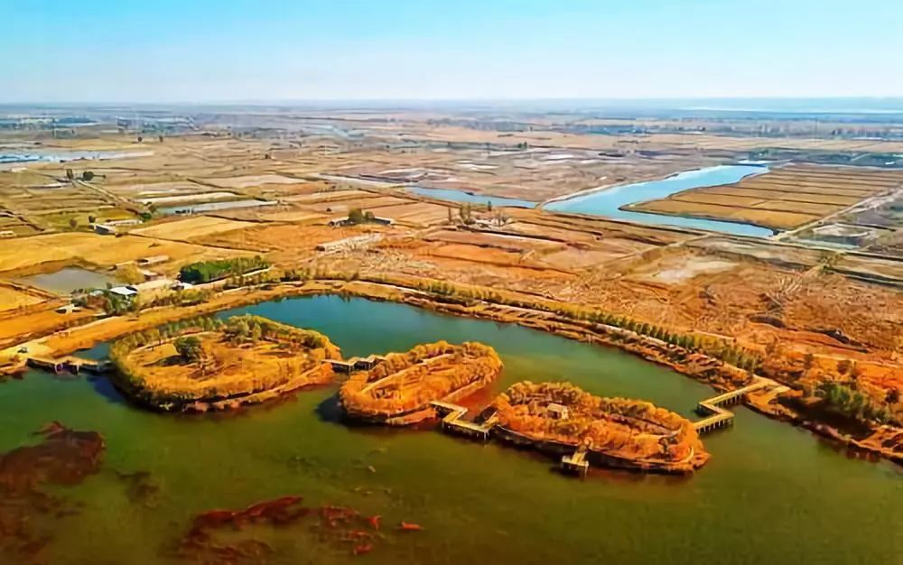 川公園之城海寶公園如碧玉一般鑲嵌在城市中銀川閱海溼地公園環境質量