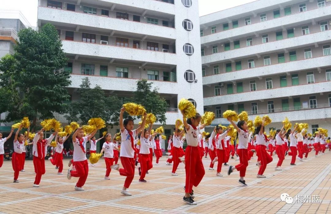 环境教育走进汤坑镇第一中心小学梅州蓝