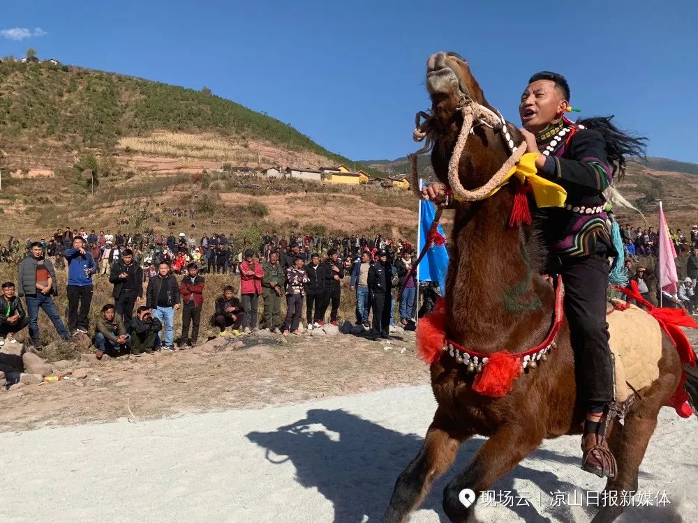 现场直击"凉山喜德·彝族老家"首届赛马节(多图 视频)