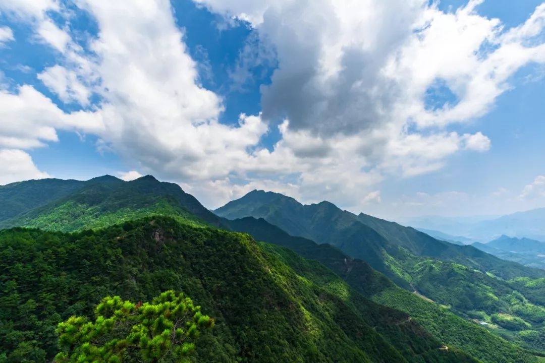 瑞安巾子山图片