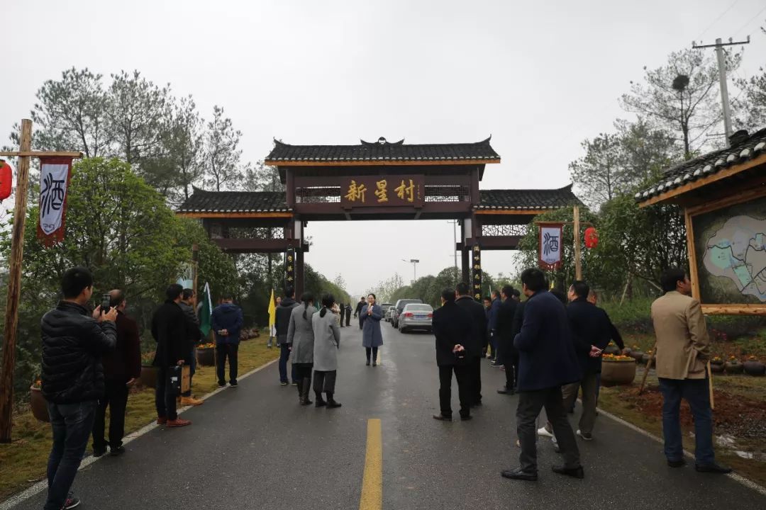 2018年11月10日,荆州市松滋市街河市镇新星村,迎来了乡村振兴专家