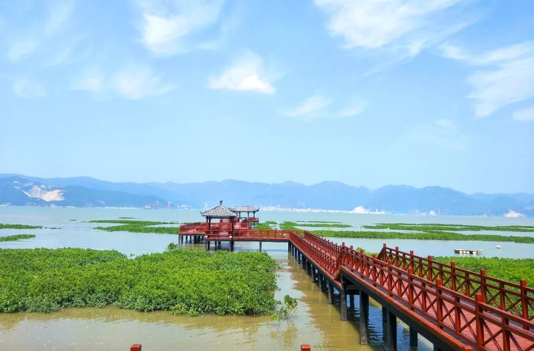 寧德市區邊上最值得pick的景點海洋森林棧道實惠海鮮還有8元的