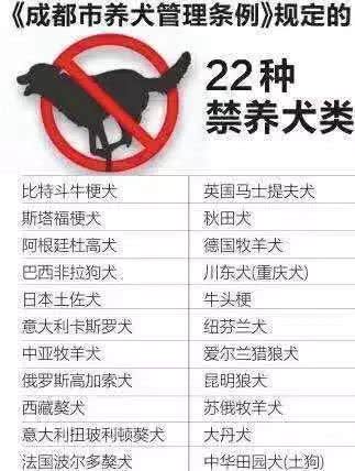 中国十大禁犬允许图片