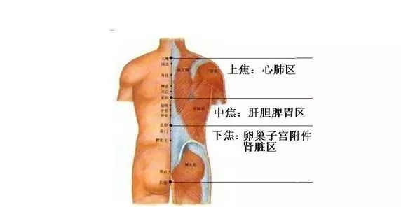 后背出痧部位对照图解图片