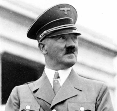 初中历史课本希特勒图片