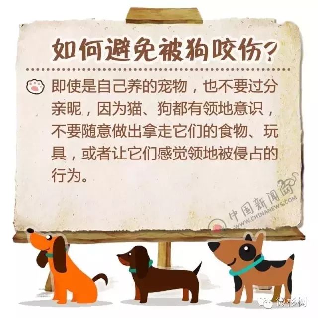 沒有注射狂犬病疫苗,11天后發病死亡;另外1例為外省輸入性病例,半月前