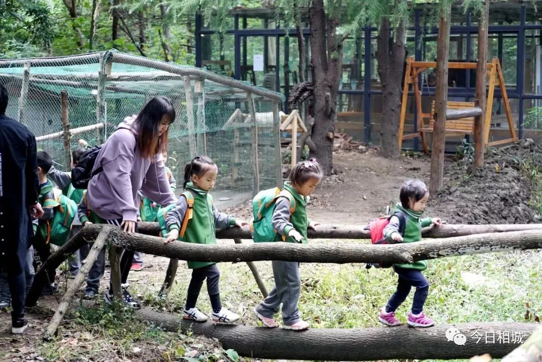 森林当教室大自然是老师阳澄湖边竟藏着一所儿童乐园