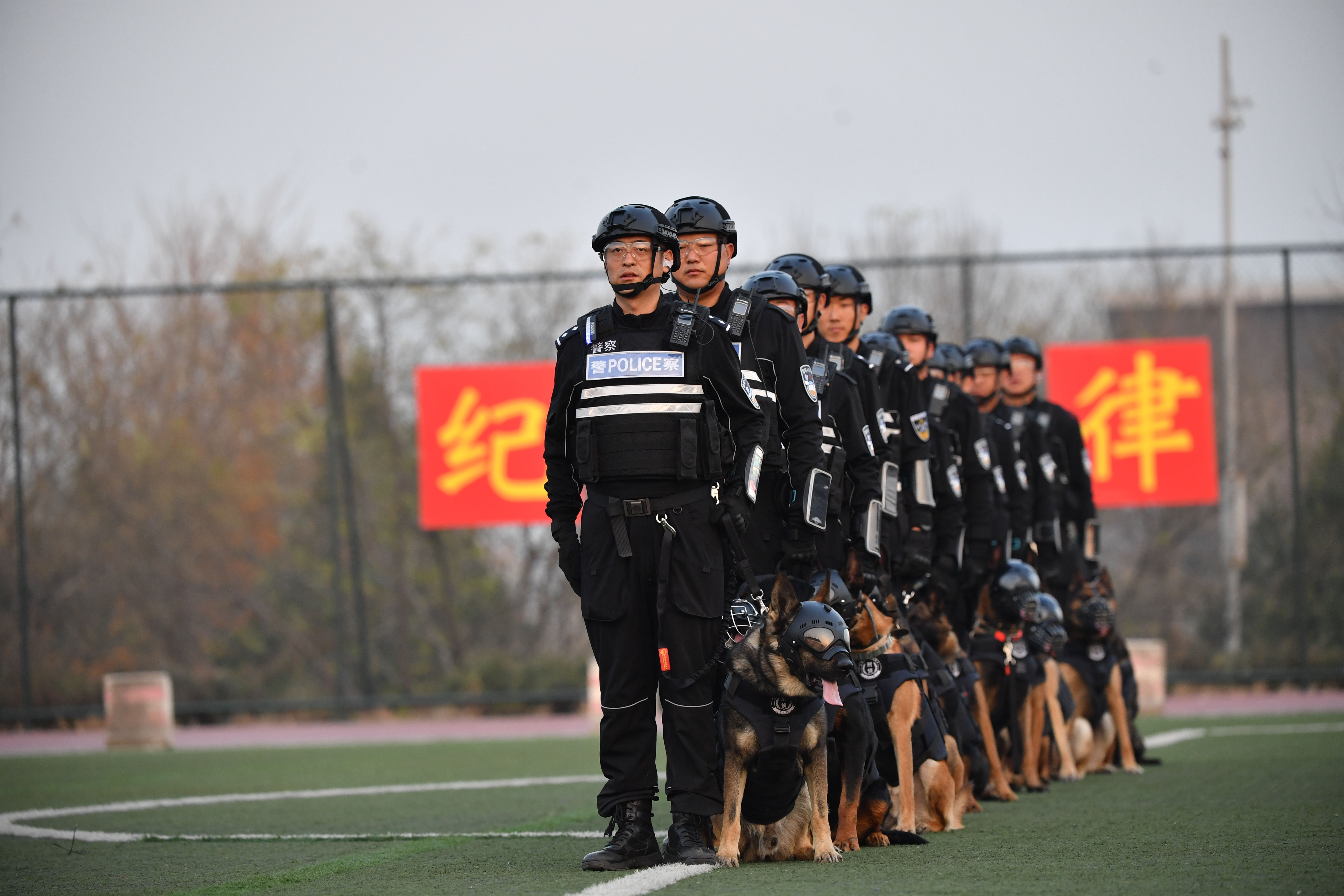 第五届全国警犬技术比赛在京落幕 北京市公安局承办总决赛并取得优异