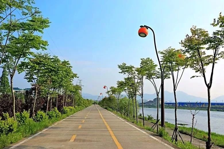 台州这条浙江最美绿道全长45公里还藏着万亩橘海和水上森林