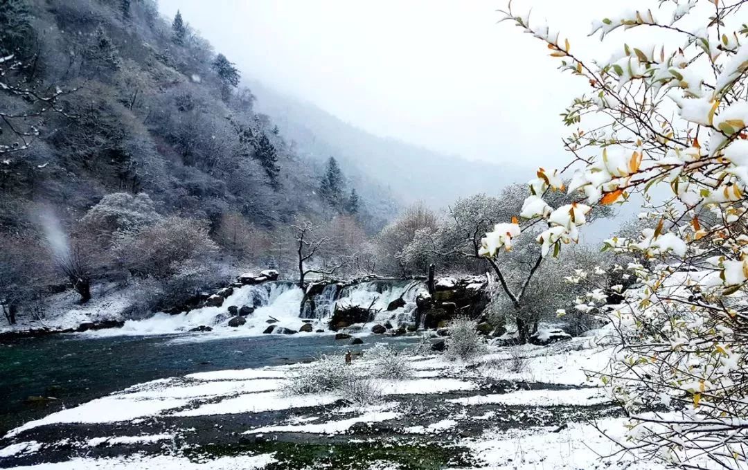 绵阳周边雪景一日游图片