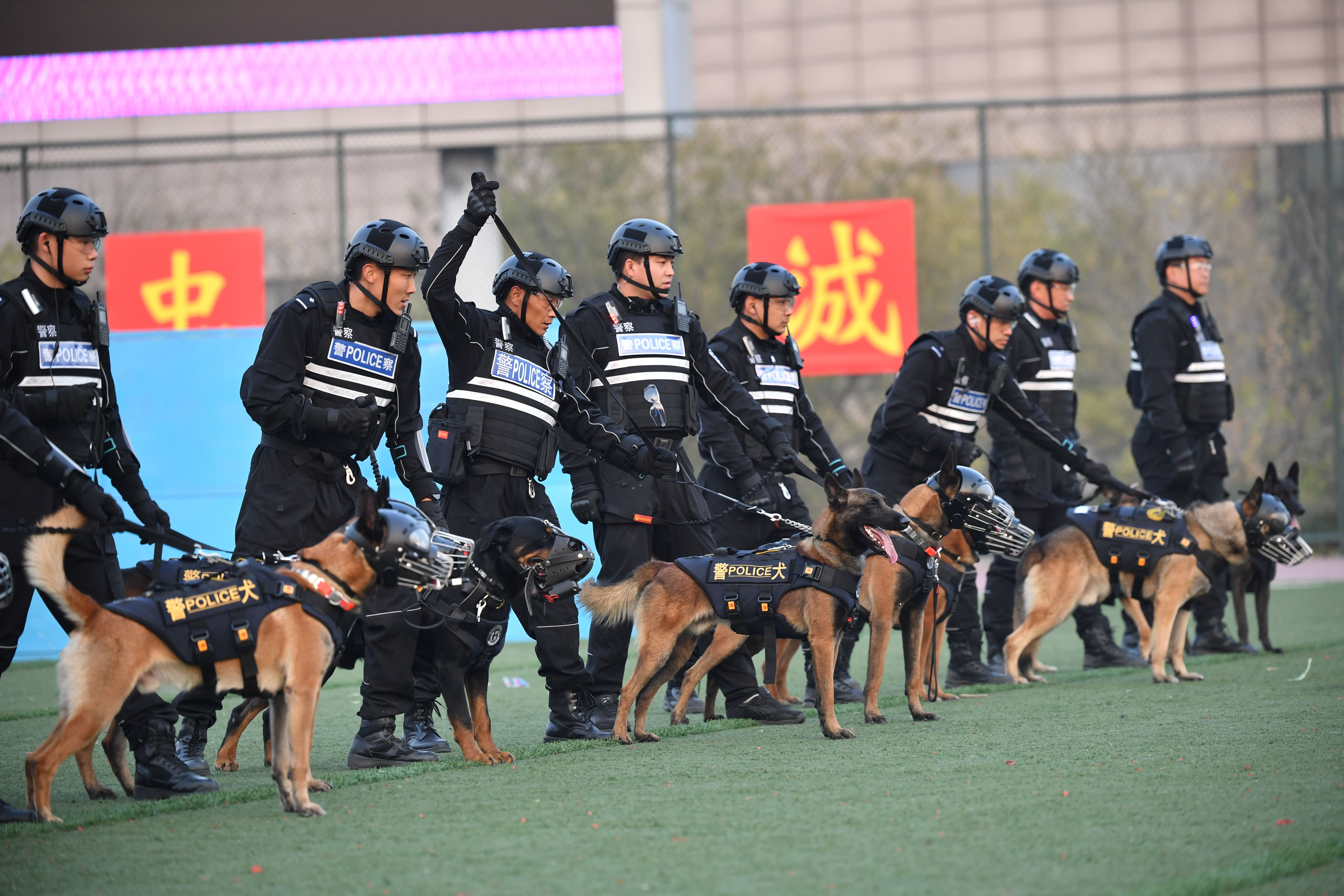 北京市公安局警犬大队图片