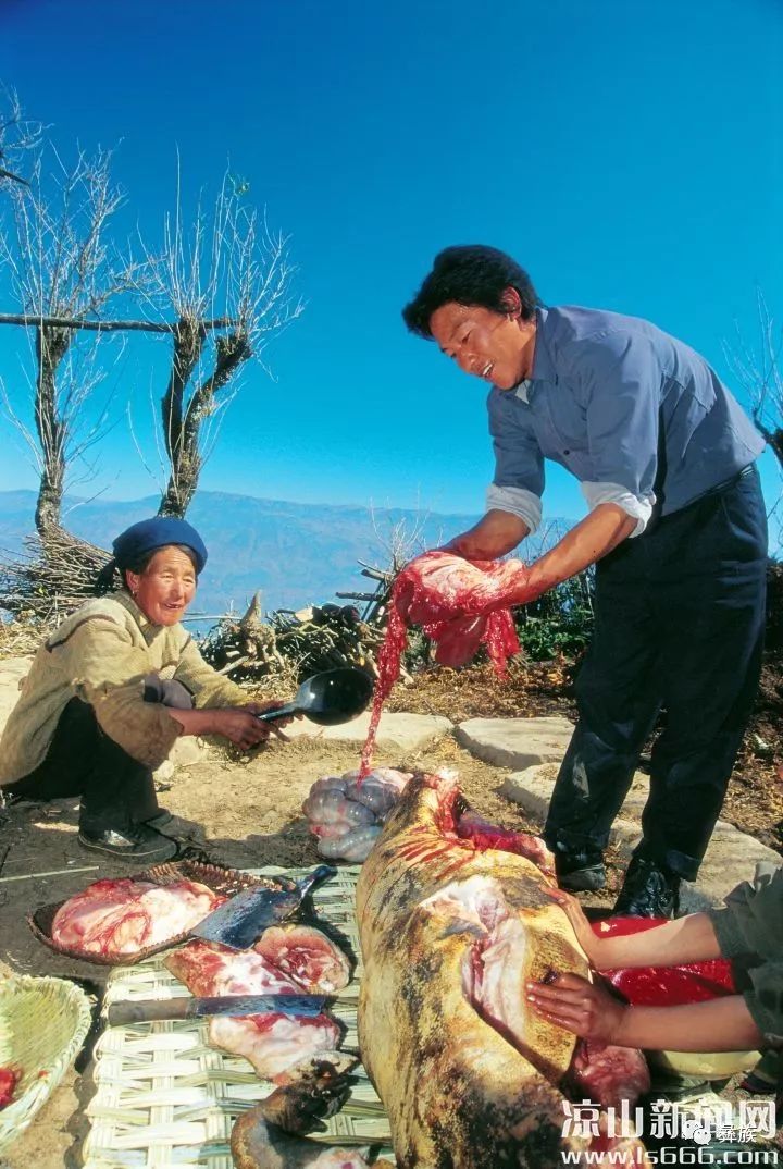 彝族過年習俗殺雞豬祭祀祖先吃年飯憧憬未來