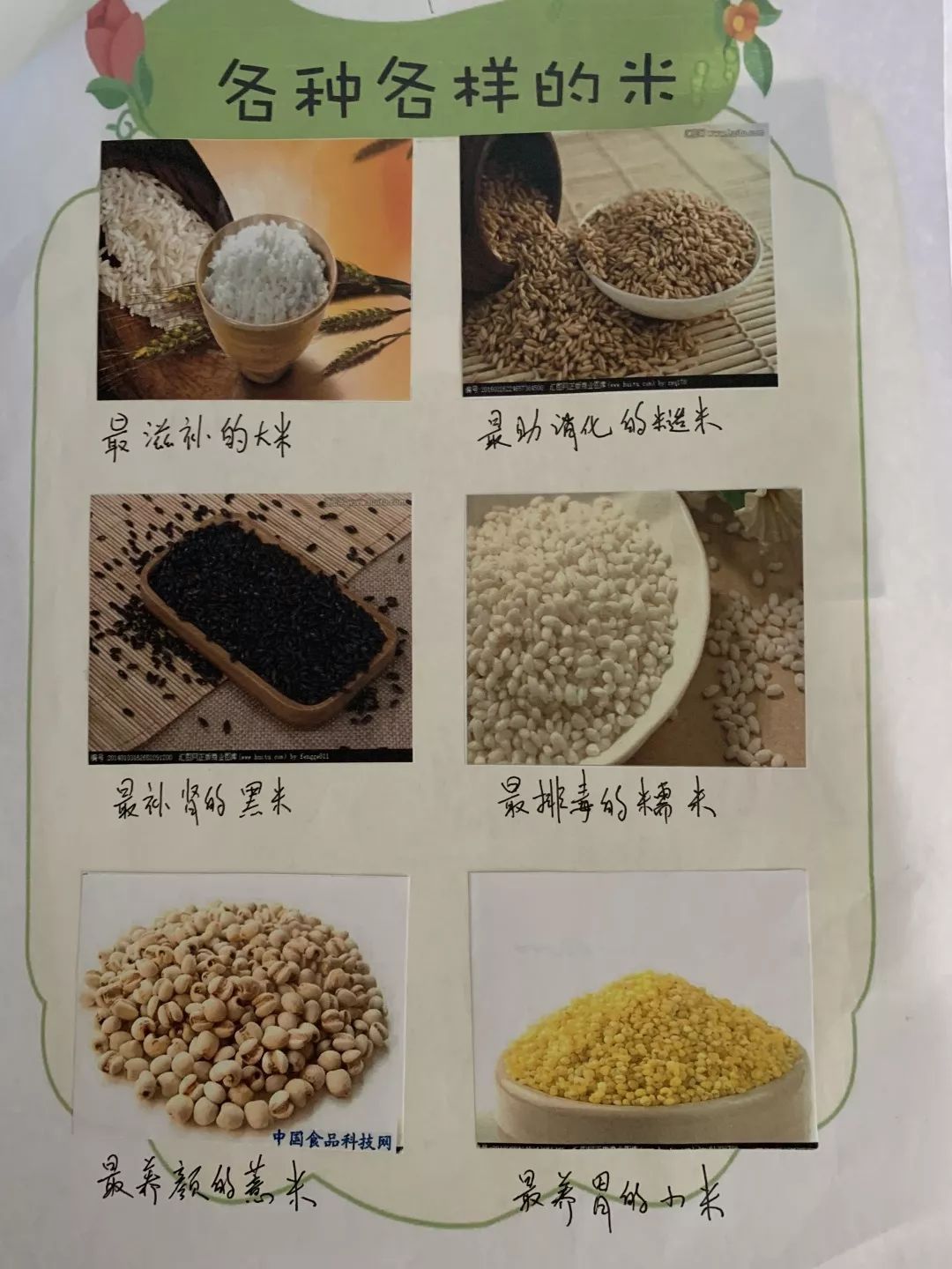 米的分类和图片和名称图片