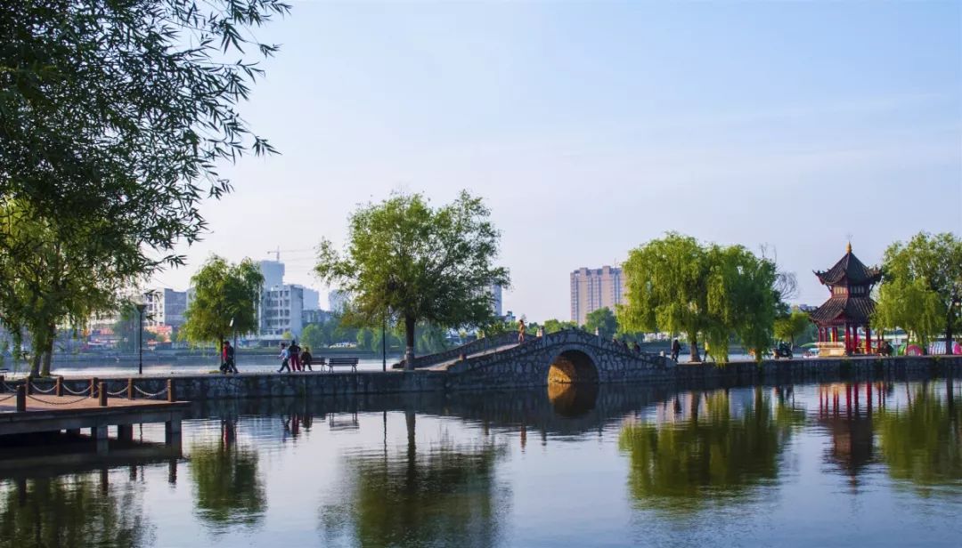 樹木成蔭;高速公路傍水而過;橫跨公園溼地的狀元橋,同濟橋如虹飛架