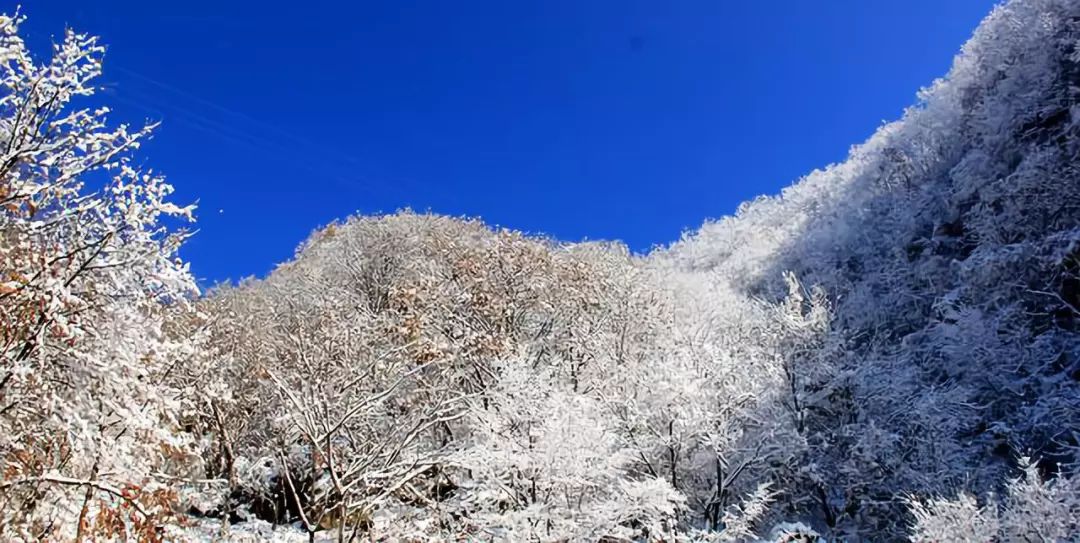 有人间仙境之称洛阳白云山下雪了有多美