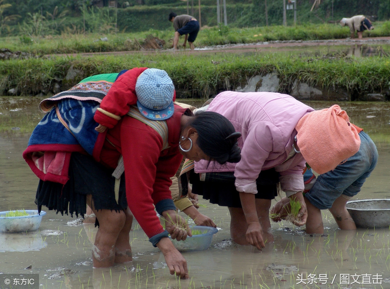 贵州农村妇女劳作9张图极具视觉冲击力看后让人心酸心疼