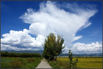 於老家的階沿上和湛藍天空下的群山想起屋後的核桃樹天邊飄來故鄉的雲