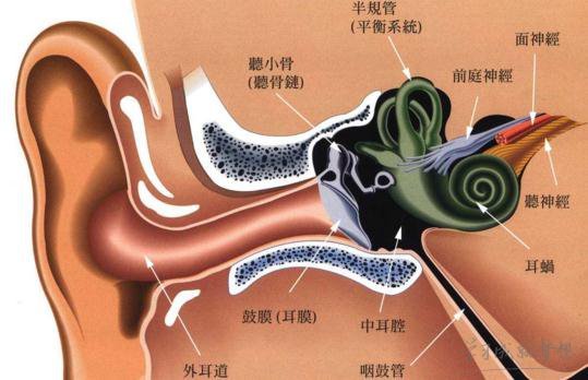 孩子得中耳炎的原因竟然是家長不會擤鼻涕