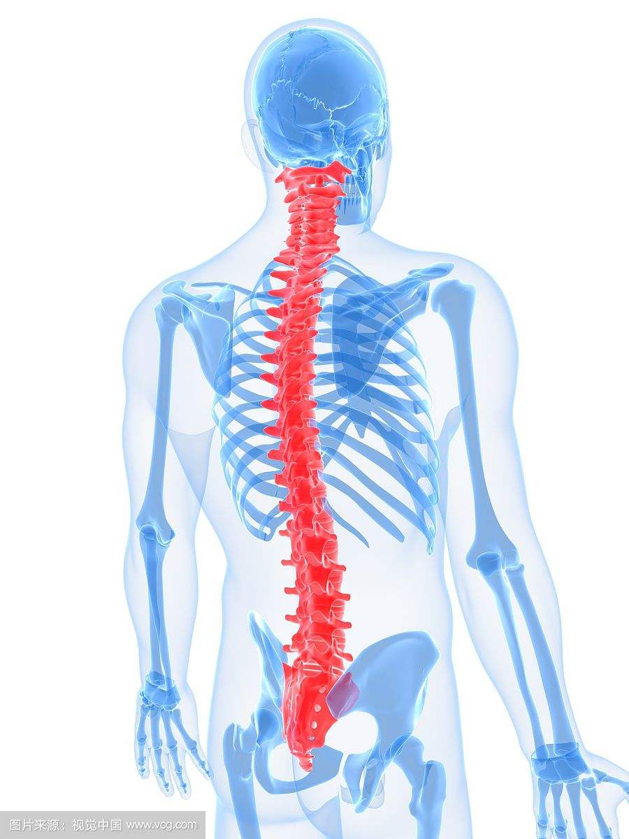 脊柱=年龄,带你认识脊椎衰老的5个阶段