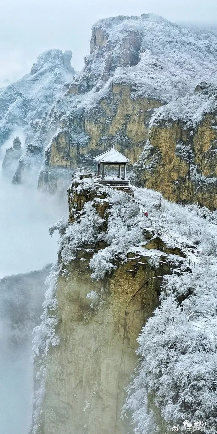 王莽岭雪景图片