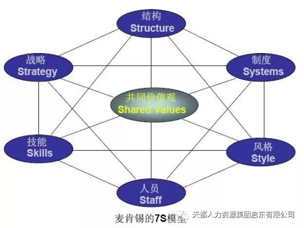 麦肯锡5Cs模型图片