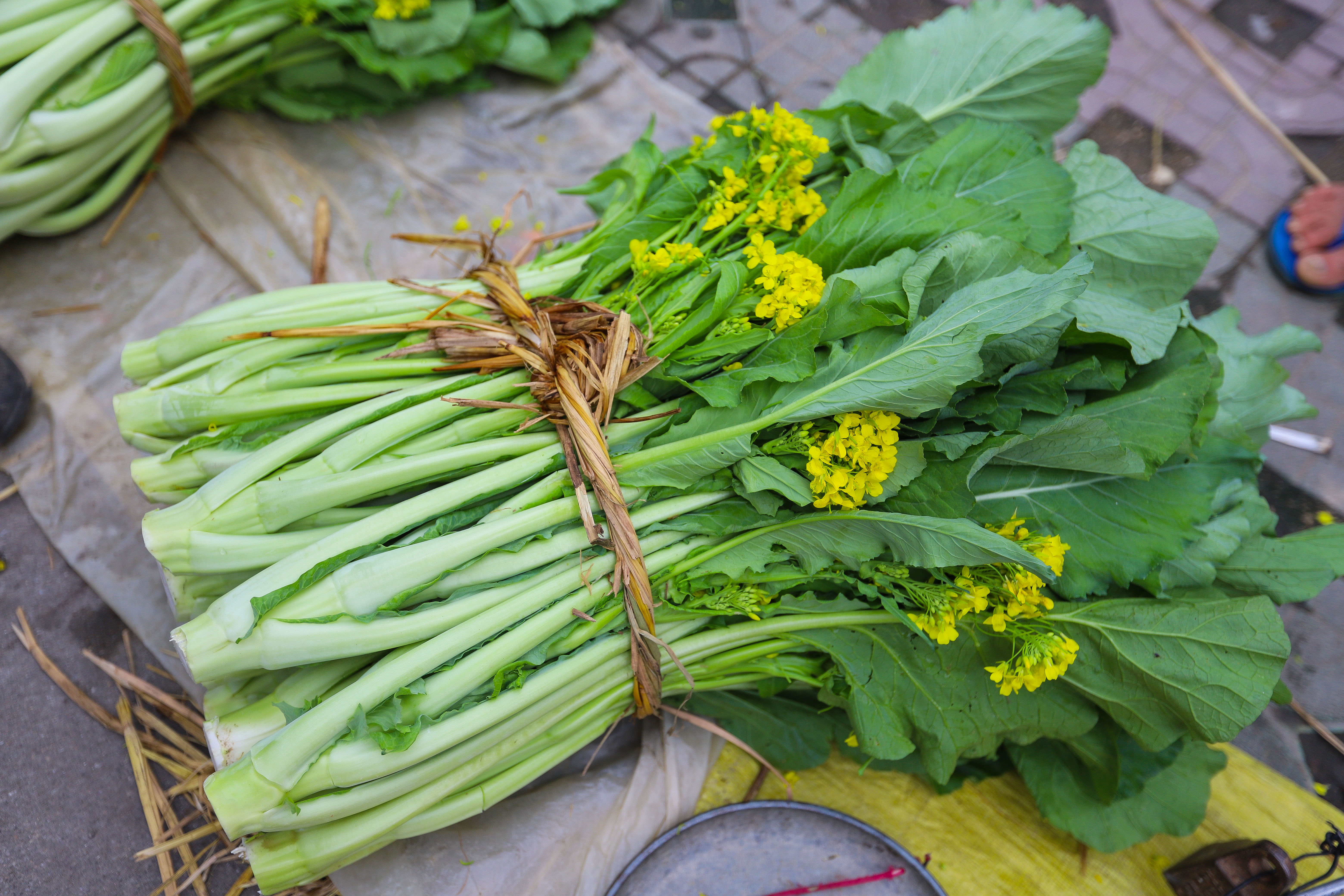 每月11月中旬到来年1月中旬是增城迟菜芯最佳品尝季,增城迟菜心具有