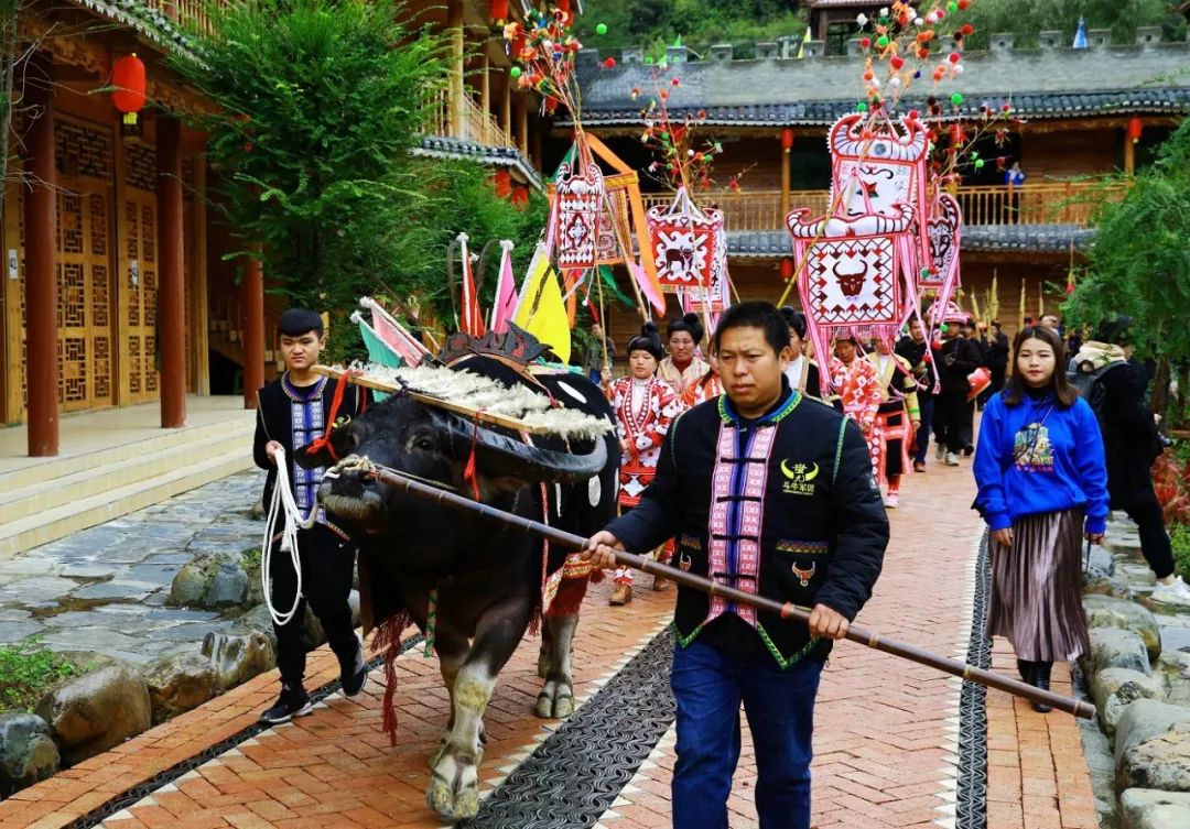 乐里镇:侗乡斗牛促进旅游助力脱贫