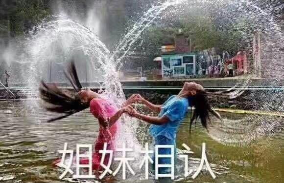 老年姐妹花表情包图片