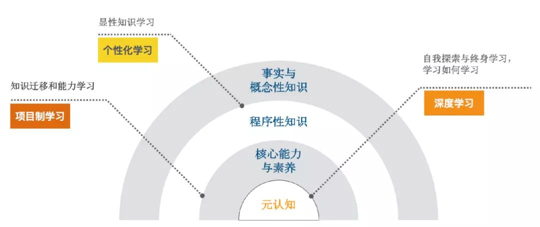 基于不同层级知识与能力的特性