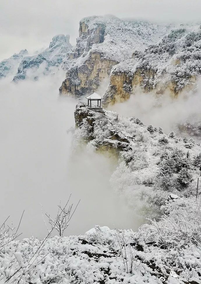 王莽岭雪景图片