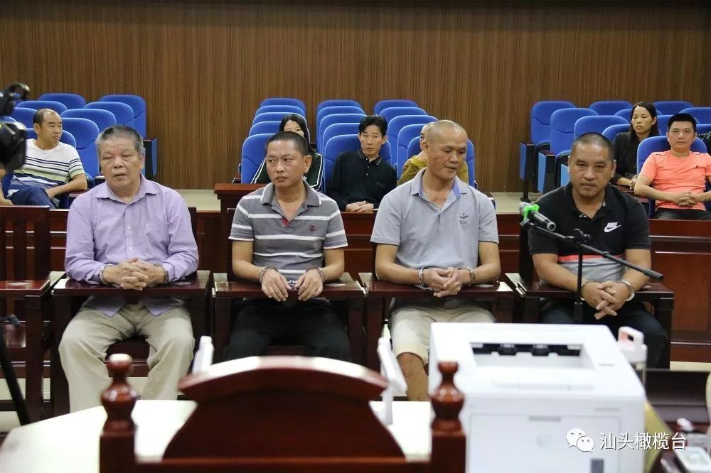 潮阳区人民法院对一起恶势力犯罪案件宣告一审判决