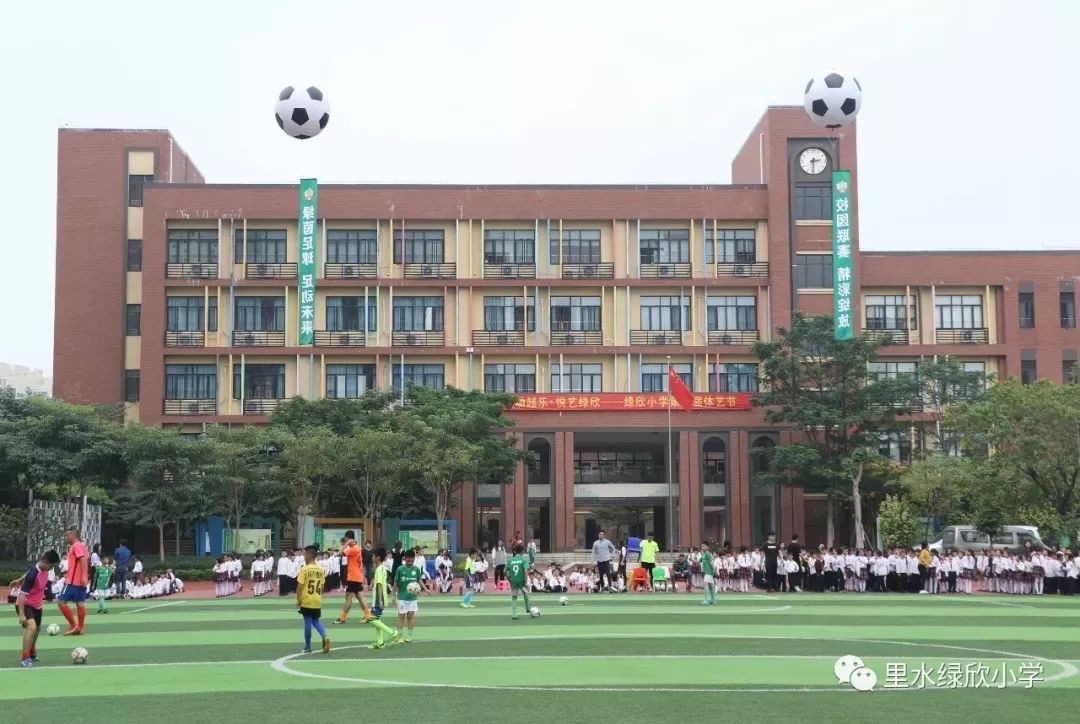 绿欣小学图片