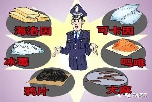 加剧腐败现象(2)毒品问题诱发其他违法犯罪,破坏正常的社会和经济