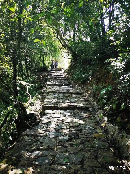 新平哀牢山景區修了條觀景遊步道徒步登山又有新去處