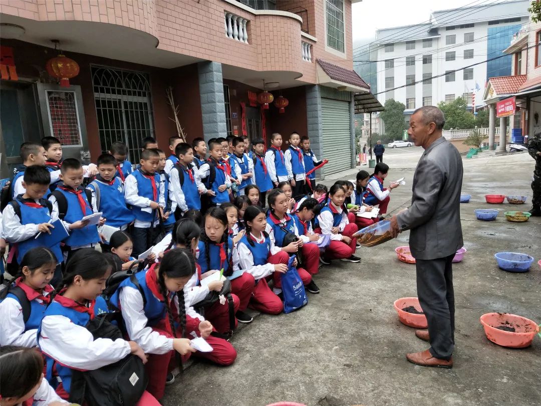 漳平市桂林逸夫小学图片