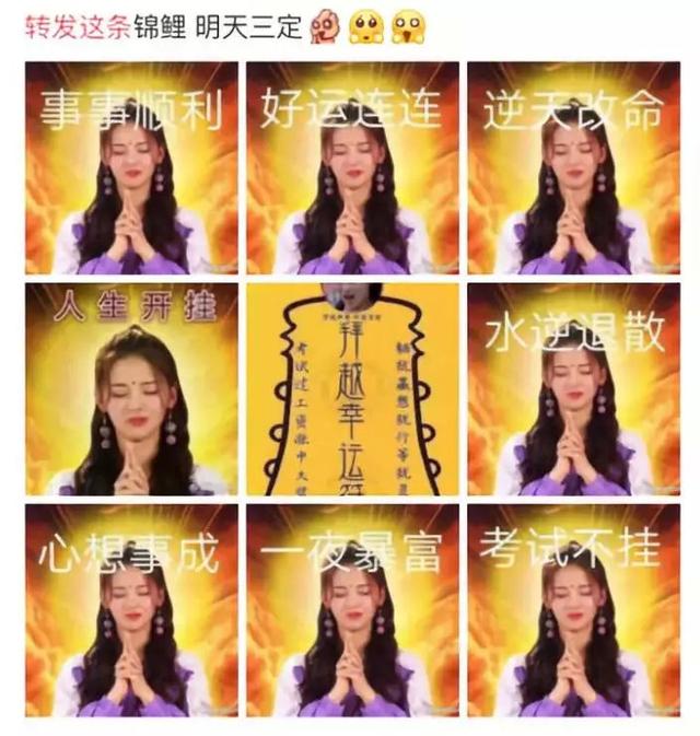 锦鲤年年有,为什么今年特别多?