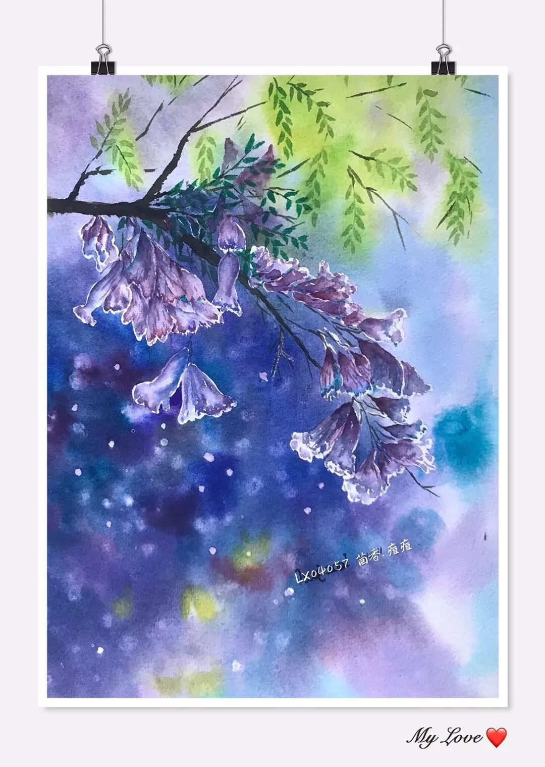 蓝花楹插画图片