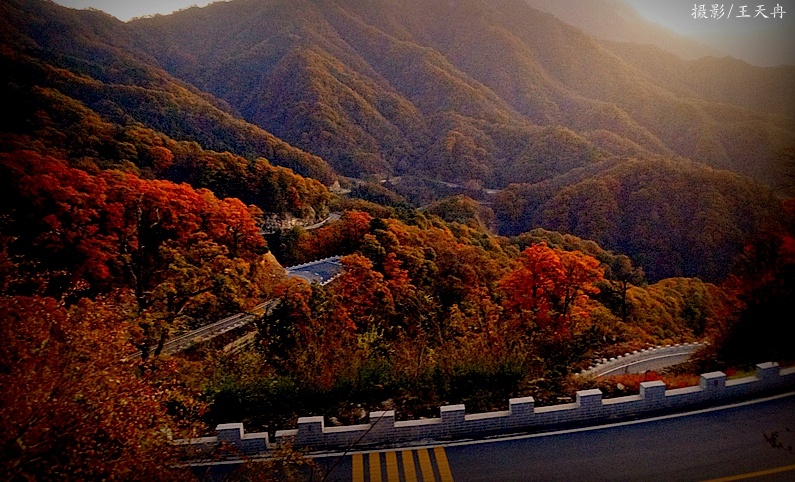 踏上金寨百转千回的马丁公路,穿越茫茫大别山的五彩乾坤