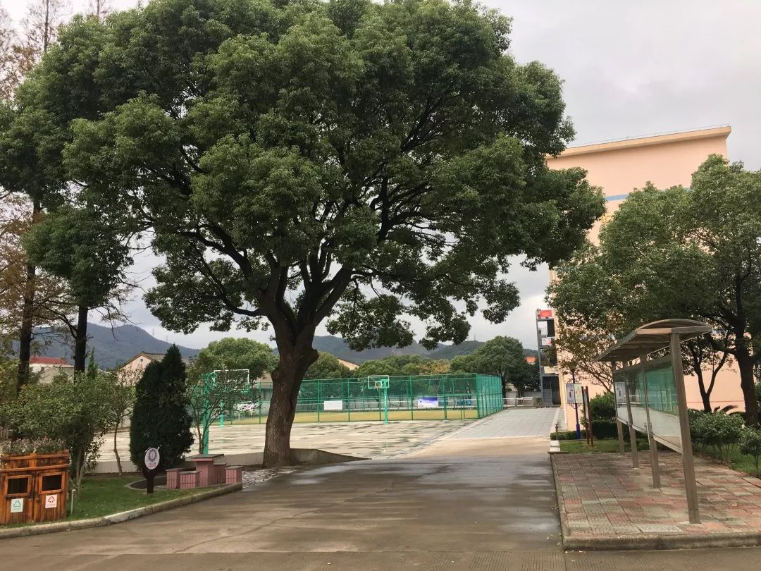 校园风景线马岙中心学校学校的变身见证时代的变迁